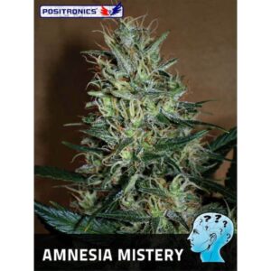 Amnesia-Mistery-1-u-fem-Positronics-Seeds-3