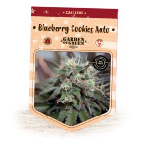 Auto-Blueberry-Cookies-1-u-fem-Garden-of-Green-Seeds-3