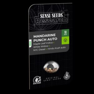 Auto-Mandarine-Punch-1-u-fem-Sensi-Seeds-Research-3