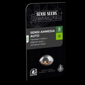Auto-Sensi-Amnesia-1-u-fem-Sensi-Seeds-Research-3