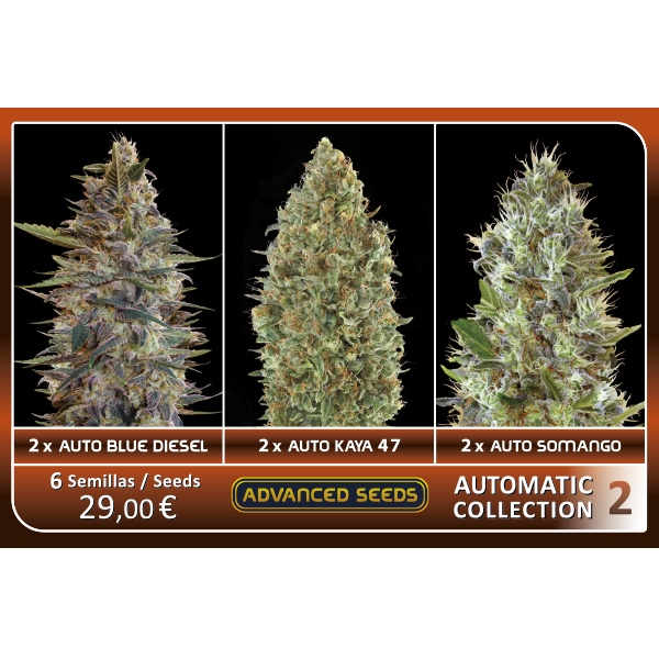 Automatic-Collection-2-Advanced-Seeds-3