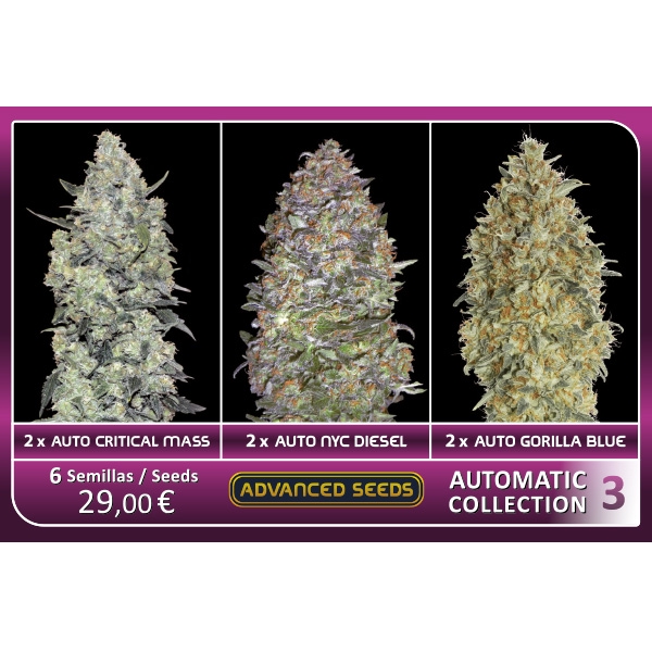 Automatic-Collection-3-Advanced-Seeds-3