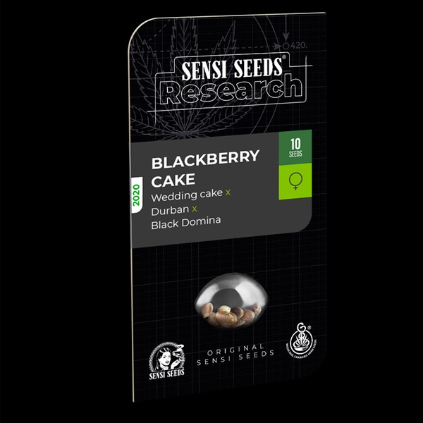 Blackberry-Cake-1-u-fem-Sensi-Seeds-Research-3