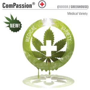 CBD-Compassion-3-u-fem-Dutch-Passion-3