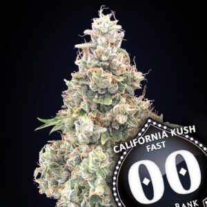 California-Kush-Fast-5-u-fem-00-Seeds