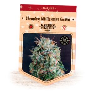 Chemdog-Millionaire-Guava-1-u-fem-Garden-of-Green-Seeds-3