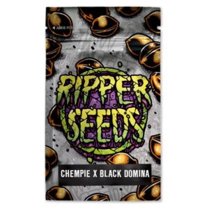 Chempie-x-Black-Domina-3-u-fem-Ed-Lim-Ripper-Seeds-3