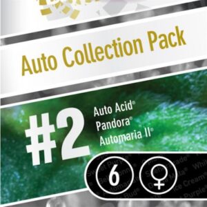 Coleccion-Auto-Pack2-6-u-Paradise-Seeds-3
