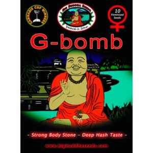 G-Bomb-10-u-fem-Big-Buddha-Seeds-3
