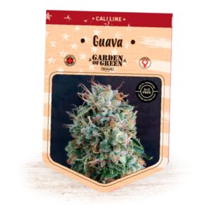 Guava-1-u-fem-Garden-of-Green-Seeds-3