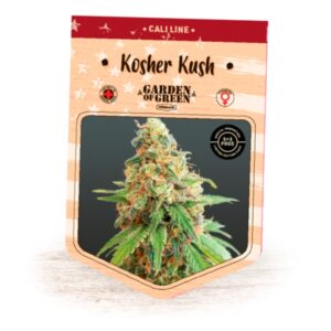 Kosher-Kush-1-u-fem-Garden-of-Green-Seeds-3