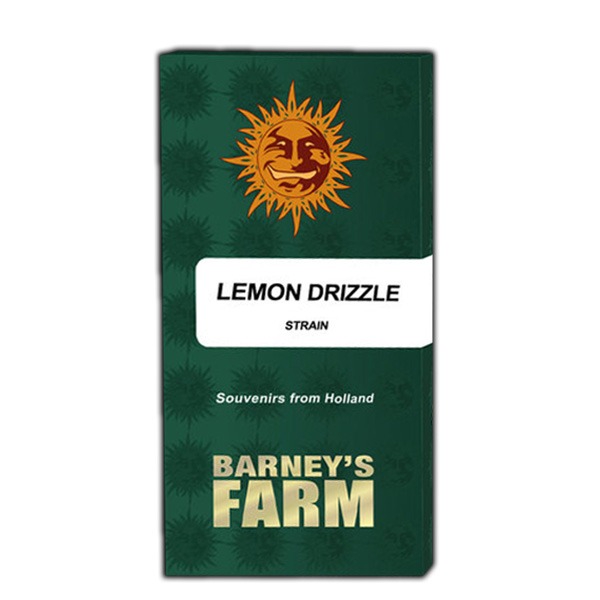 Lemon-Drizzle-5-u-fem-Barneys