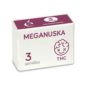 Meganuska-3-u-fem-Elite-Seeds-3