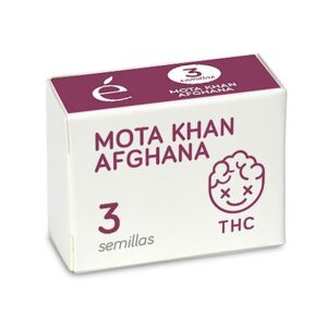 Mota-Khan-Afgana-3-u-fem-Elite-Seeds-3