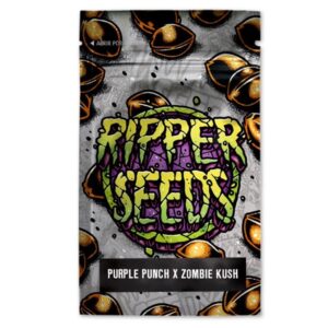 Purple-Punch-x-Zombie-Kush-3-u-fem-Ed-Lim-Ripper-Seeds-3
