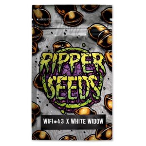Wifi-43-x-White-Widow-3-u-fem-Ed-Lim-Ripper-Seeds-3