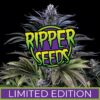 ripper-seeds-limited-edition-feminized-seeds-11