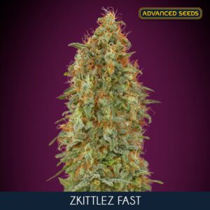 Zkittlez-Fast-3-1-u-fem-Advanced-Seeds